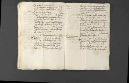 Pfalzgraf Wolfgang bittet hinsichtlich seines Hofmeisters Heinrich von Ulm, der mit Begleitern nach Frankreich geschickt worden war und dort bei einem Kloster nahe Toul in einen Hinterhalt geriet und getötet wurde, um Rat bei der Verfolgung der Täter.