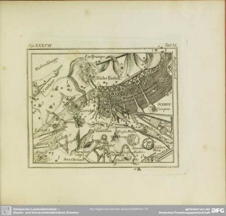 Fig. XXXVII