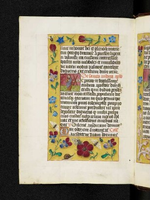 Bordürenseite mit Streumusterbordüre und Textanfangsminiatur: Andreas