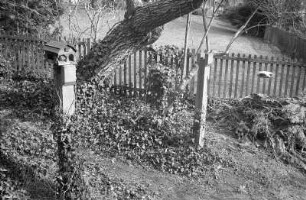 Dresden Loschwitz : In Dresden Loschwitz, Schevenstrasse 6 B