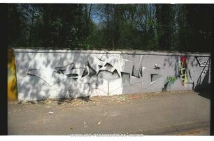 BiRNE