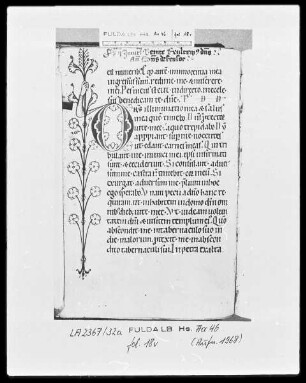 Psalterium cum Canticis — Initiale D (eus) mit Randausläufer in Form einer Hand mit Blütenzweig, Folio 18verso