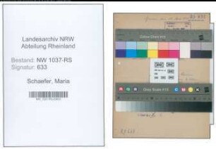 Entnazifizierung Maria Schaefer , geb. 27.06.1909 (Lehrerin)