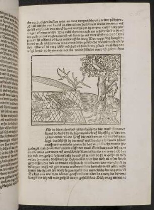 Die Tauben im Netz, der Rabe und der Fallensteller; (Kapitel IV: Von der Taube und von treuen Gefährten)