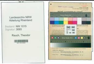 Entnazifizierung Theodor Rauch , geb. 20.09.1895 (Stadtsekretaer)