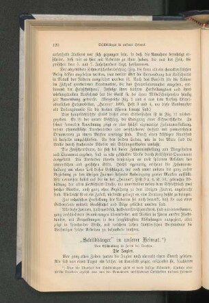 "Schildbürger" in unserer Heimat. *)