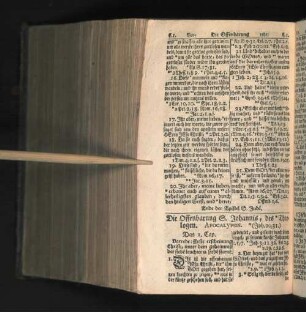 Die Offenbarung S. Johannis, des Theologen.