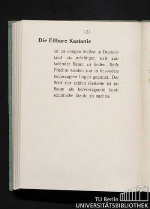 Die Eßbare Kastanie: Castanea vesca.