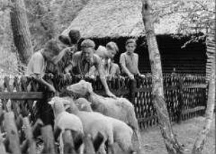 Kinderzoo in der Pionierrepublik Werbellinsee