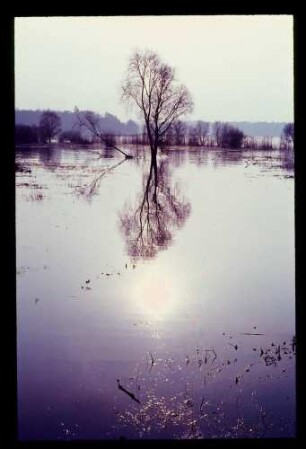 Havel 26.2.67.