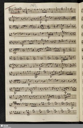 673. Terzetto: Vò cercando del Padrone / Guglielmi, P.A.