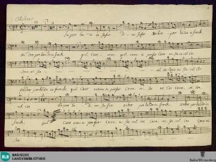 Superbo di me stesso - Don Mus.Ms. 246 : B, orch; G