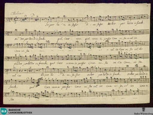 Superbo di me stesso - Don Mus.Ms. 246 : B, orch; G