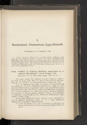 X. Bundesstaat: Fürstenthum Lippe-Detmold.