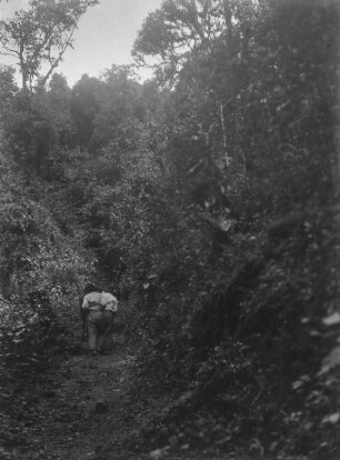 Bergpfad : Zwei Männer und ein Pferd auf einem schmalen Pfad, der einen Hang hinauf führt.