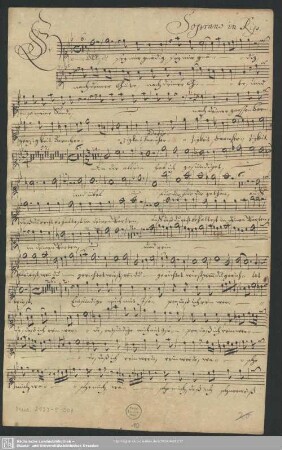 Soprano in Rip.
