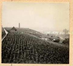 Blick von der Eckartsberg-Ruine in Breisach im Breisgau