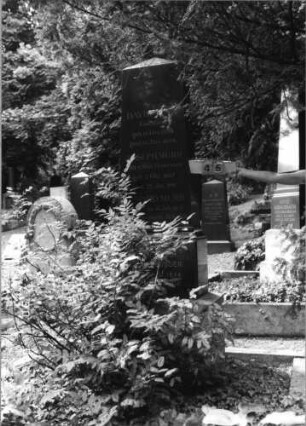 Grabstein 45 (Index: 99618171) Maße HxBxT: 235x67x37 cm Besonderheit: Familiengrab: Grabstein 45