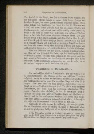 Vogelleben in Nadelwäldern.