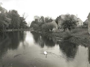 Niedergoseln-Schweta. Dorfteich
