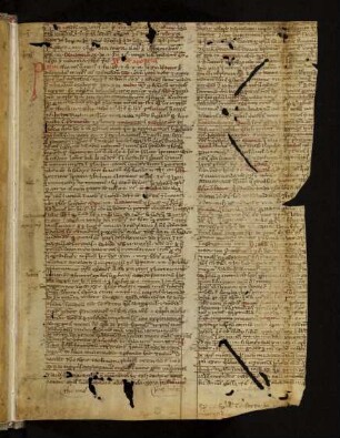 Sermones de communi sanctorum (Auszug)