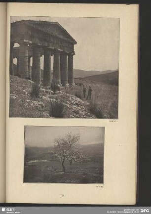 Segesta