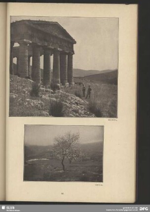 Segesta