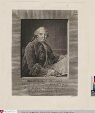 Henry Louis Duhamel