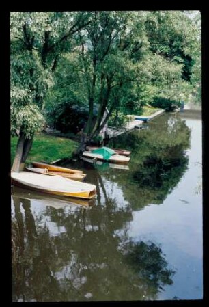 Kalkgraben 25.6.77.