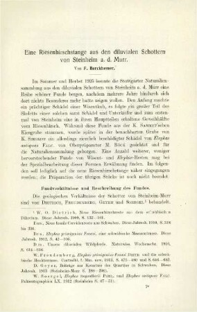 Eine Riesenhirschstange aus den diluvialen Schottern von Steinheim a. d. Murr