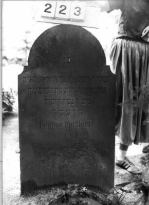 Grabstein 223