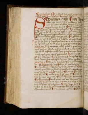 Reinerus de Pisis: Pantheologia. Sepultura Christi cap. I–XIII.