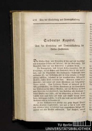 Siebentes Kapitel. Von der Eintheilung und Bewirthschaftung der Birken-Forstreviere.