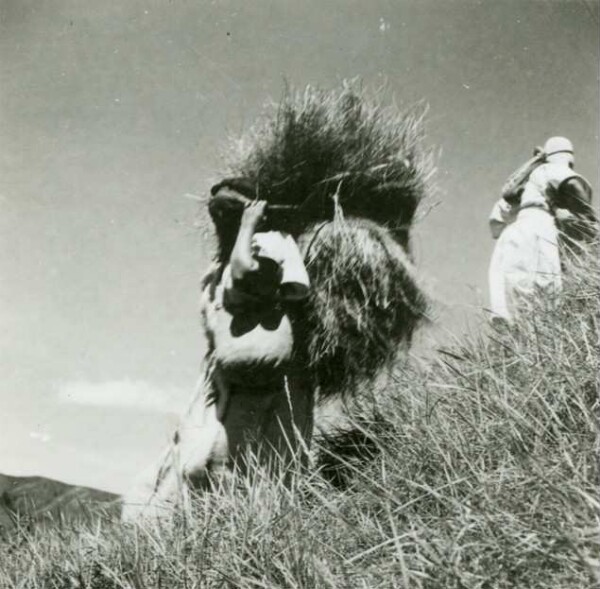 Arhuaco Frauen beim Grasschneiden zum dachdecken