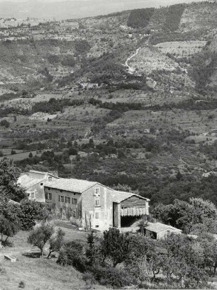 Landschaft bei Motovun im Inneren von Istrien