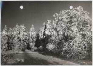 Winterlandschaft, Taunus
