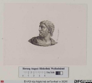 Bildnis Alkibiades von Athen