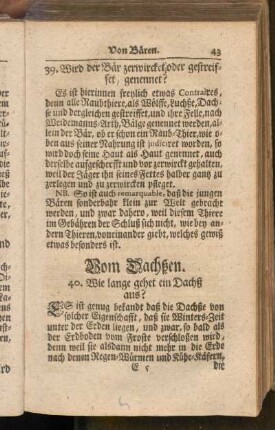 Von Dachsen