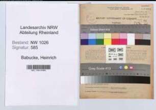 Entnazifizierung Heinrich Babucke , geb. 28.07.1901 (Gastwirt)