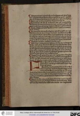 Faber lignarius dicitur non solum qui ligna dolat sed generaliter omnis qui edificat...