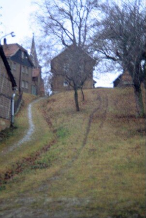 mit Obstbäumen bepflanzter Hang im Dorf, anliegende Häuser