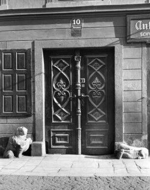 Klagenfurt, Völkermarkterstraße 10. Wohnhaus (um 1860). Portal mit zwei Löwen als Portalwächter