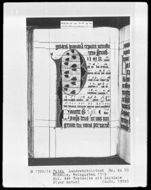 Missale — Initiale P, Folio 44verso