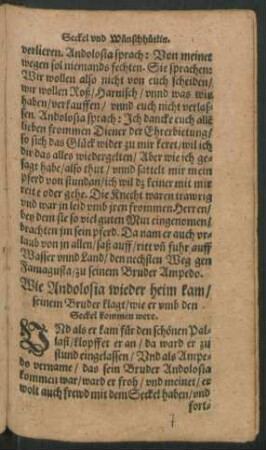 Wie Andolosia wieder heim kam/ seinem Bruder klagt/ wie er umb den Seckel kommen were.