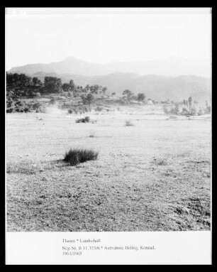Landschaft auf der Insel Thasos