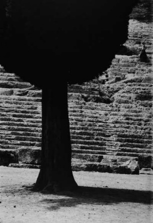 Baum vor antiker Steintreppe
