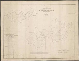 Plan über den Gemeinde-Wald Michelfeld auf dortiger Gemarkung