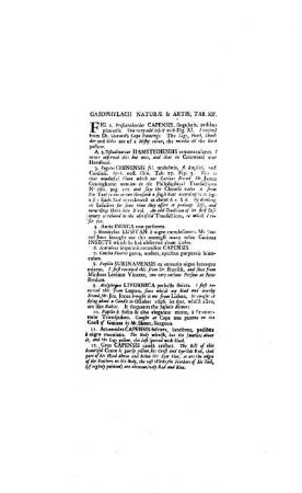 Gazohpylacii Naturae & Artis Tab. XII