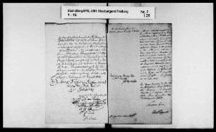 Revision des Bergamts Altenberg mit Berggießhübel und Glashütte, Band 1