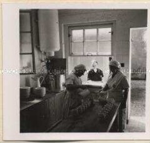 Radeberg, Vereinigte Kokosteppichfabriken P. Voegler